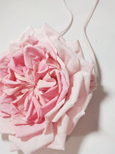 Austin Rose Fabric Crossbody Bag